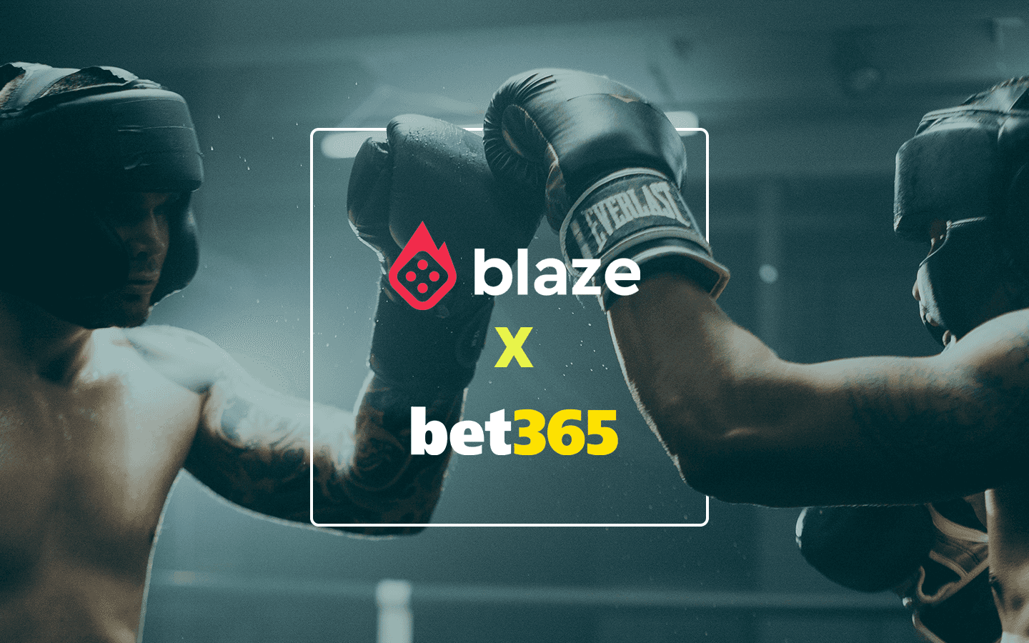 Blaze ou Bet365: qual o melhor site de apostas?