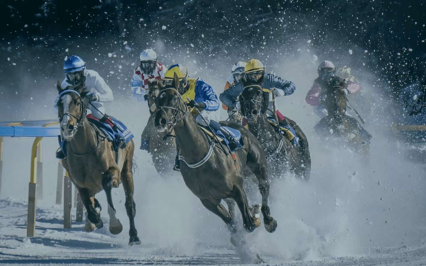 Vitória do Jockey Club: Lei que proibia apostas em cavalos em SP é suspensa 