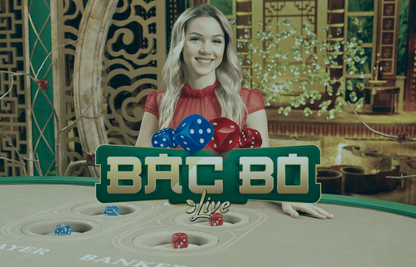 Bac Bo