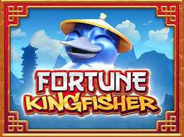 Fortune Kingfisher