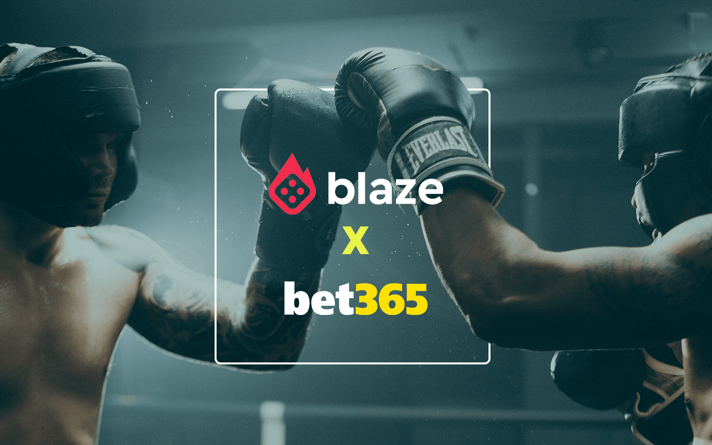 Blaze ou Bet365: qual o melhor site de apostas?