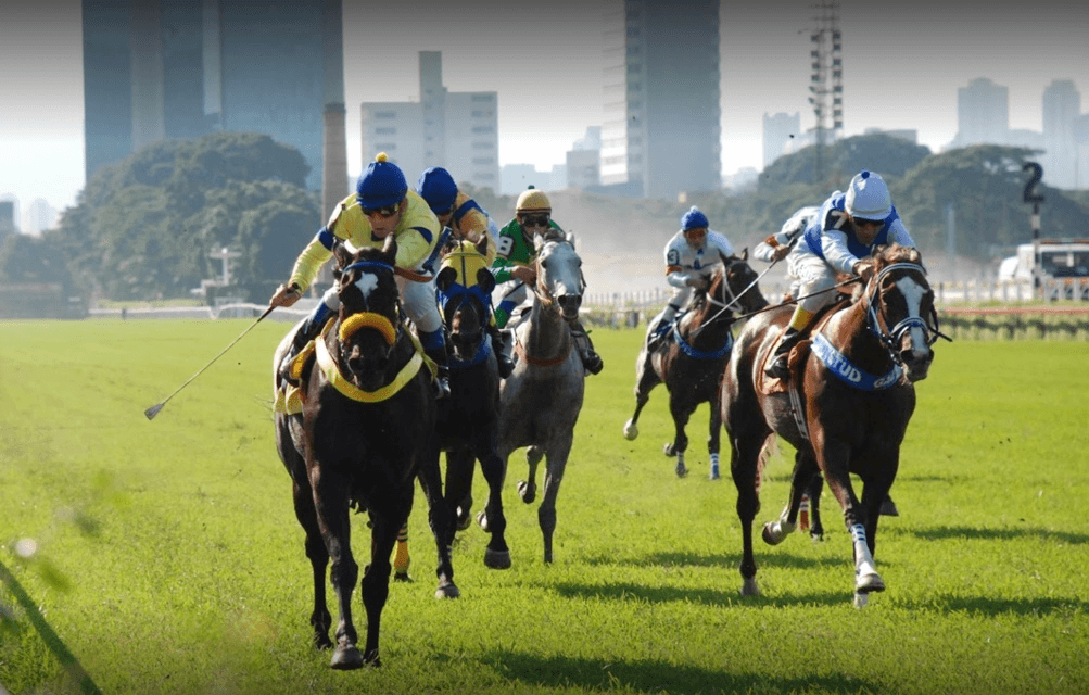 William Hill é nomeada parceira oficial do Randox Grand National