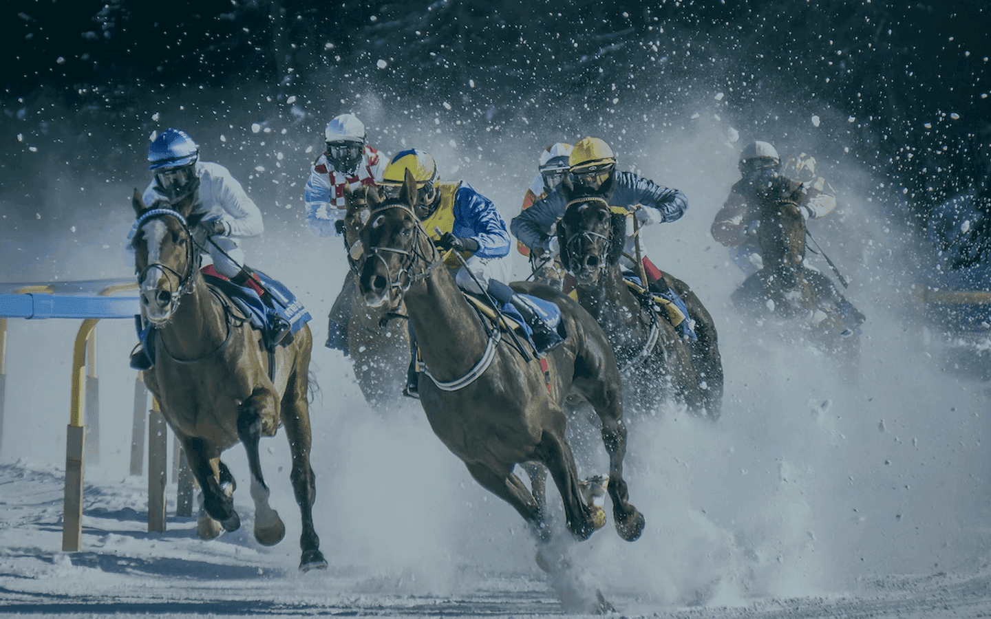 Freebets.com anuncia jóquei Tom Bellamy como embaixador