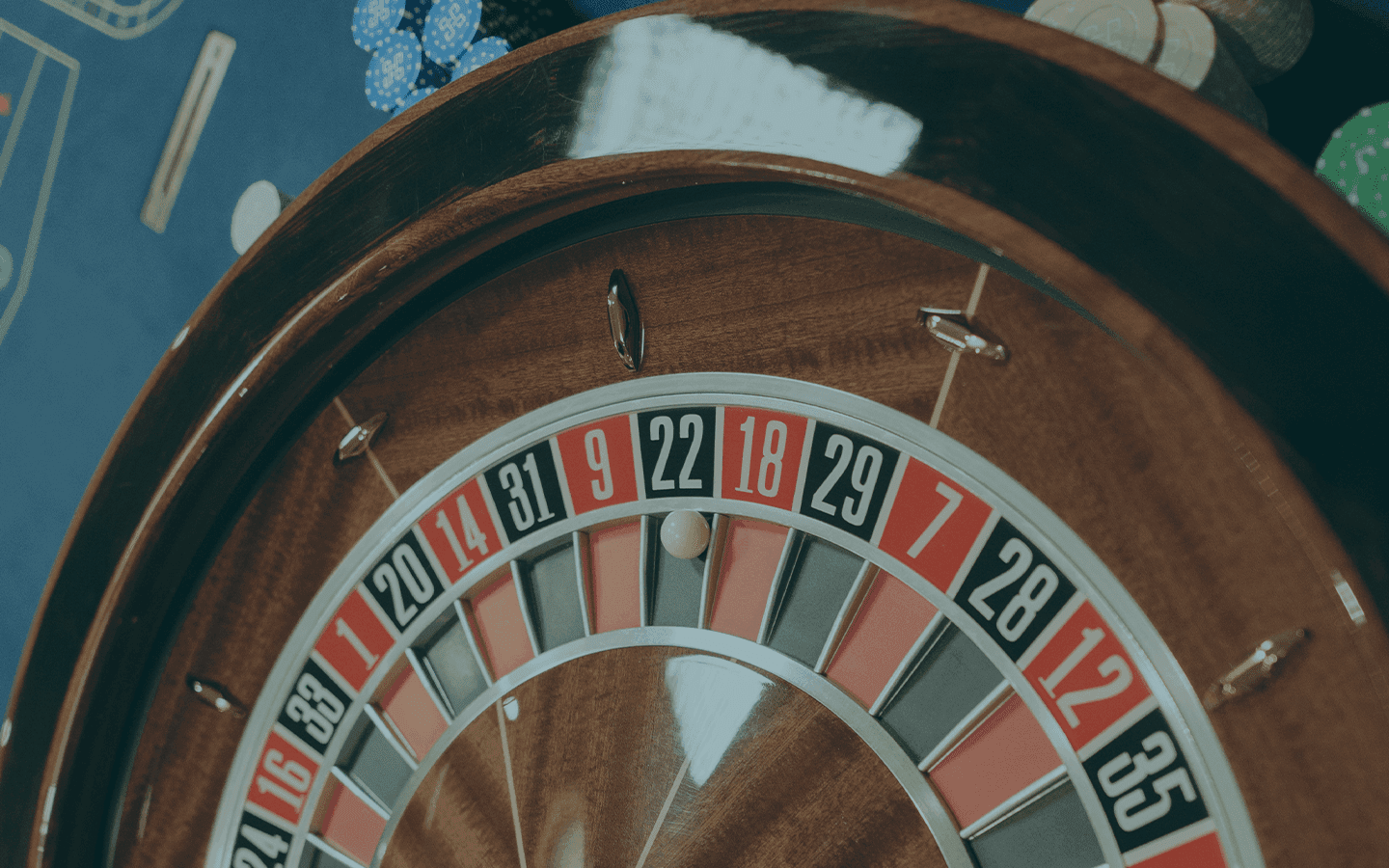 VizExplorer anuncia investimento da Dry Line Partners