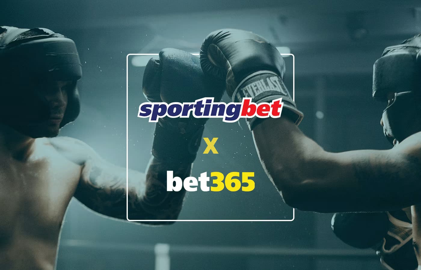 Sportingbet x Bet365 - Qual melhor site de apostas?