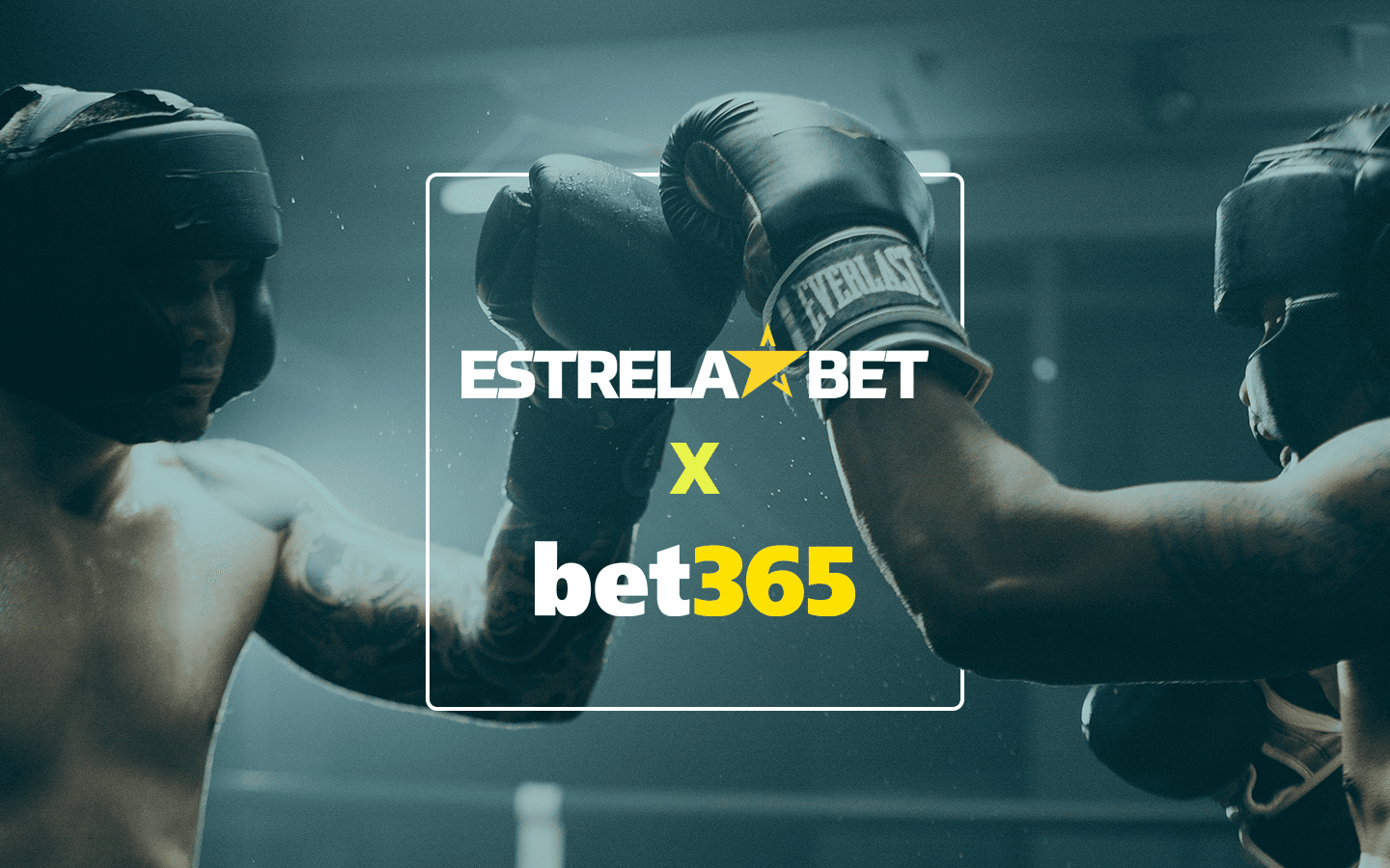Estrela Bet x Bet365: qual escolher?