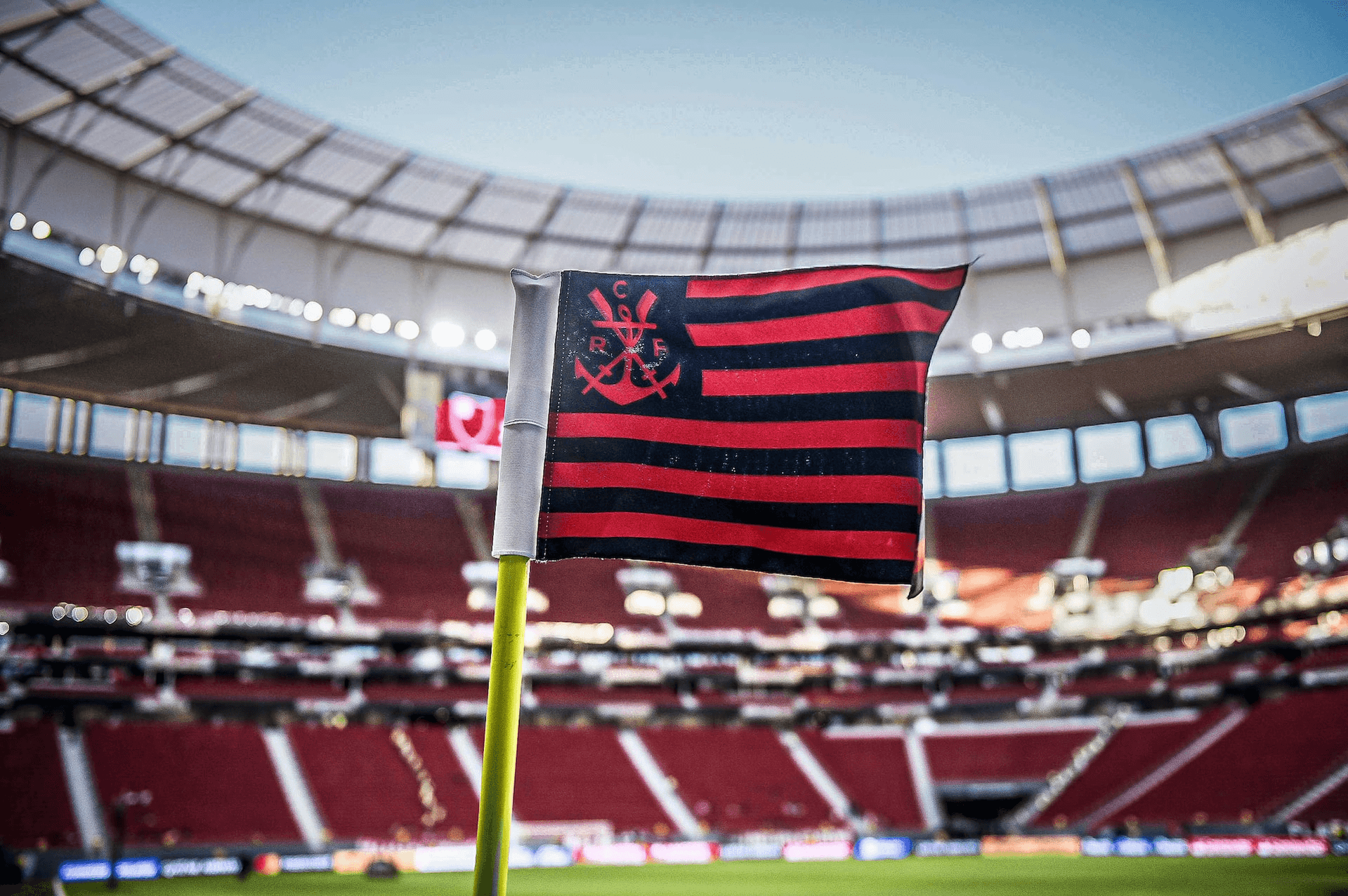 Como apostar no Flamengo trash
