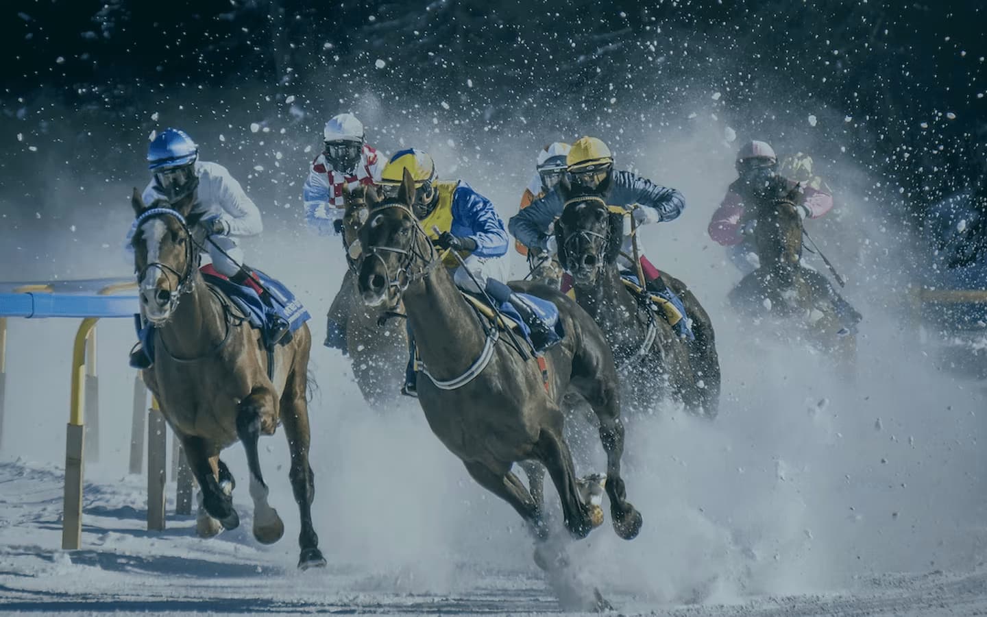 Vitória do Jockey Club: Lei que proibia apostas em cavalos em SP é suspensa 