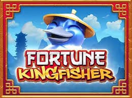 Fortune Kingfisher