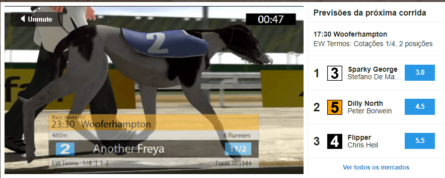 corrida de galgos ao vivo