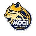 mogi das cruzes
