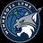 Minnesota Lynx