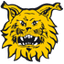 Ilves
