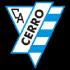 Cerro Logo