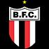 Botafogo SP Logo
