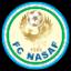 Nasaf Qarshi
