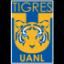 Tigres