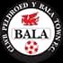 Bala Town
