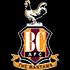 Bradford City Logo