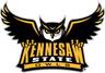 Kennessaw State Logo