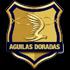 Rionegro Aguilas Logo