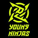 Young Ninjas
