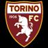 Torino Logo