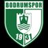 Bodrumspor Logo