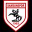Samsunspor