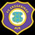 Erzgebirge Aue Logo