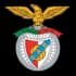 S. Arronches e Benfica