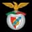 S. Arronches e Benfica
