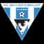 FC Vlasim