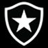Botafogo S20