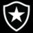 Botafogo S20