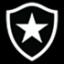 Botafogo S20