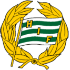 Hammarby IF