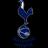 Tottenham Hotspur Academy