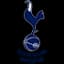 Tottenham Hotspur Academy