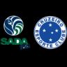 Sada Cruzeiro Vôlei Logo