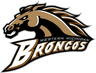 Western Michigan Logo