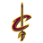 Cleveland Cavaliers