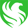 Falcons Logo
