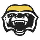 Brampton Honey Badgers