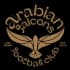 Arabian Falcons