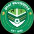 Bray Wanderers