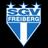 Freiberg