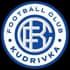 Kudrivka Logo