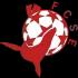 FC Saint-Etienne