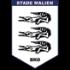 Stade Malien